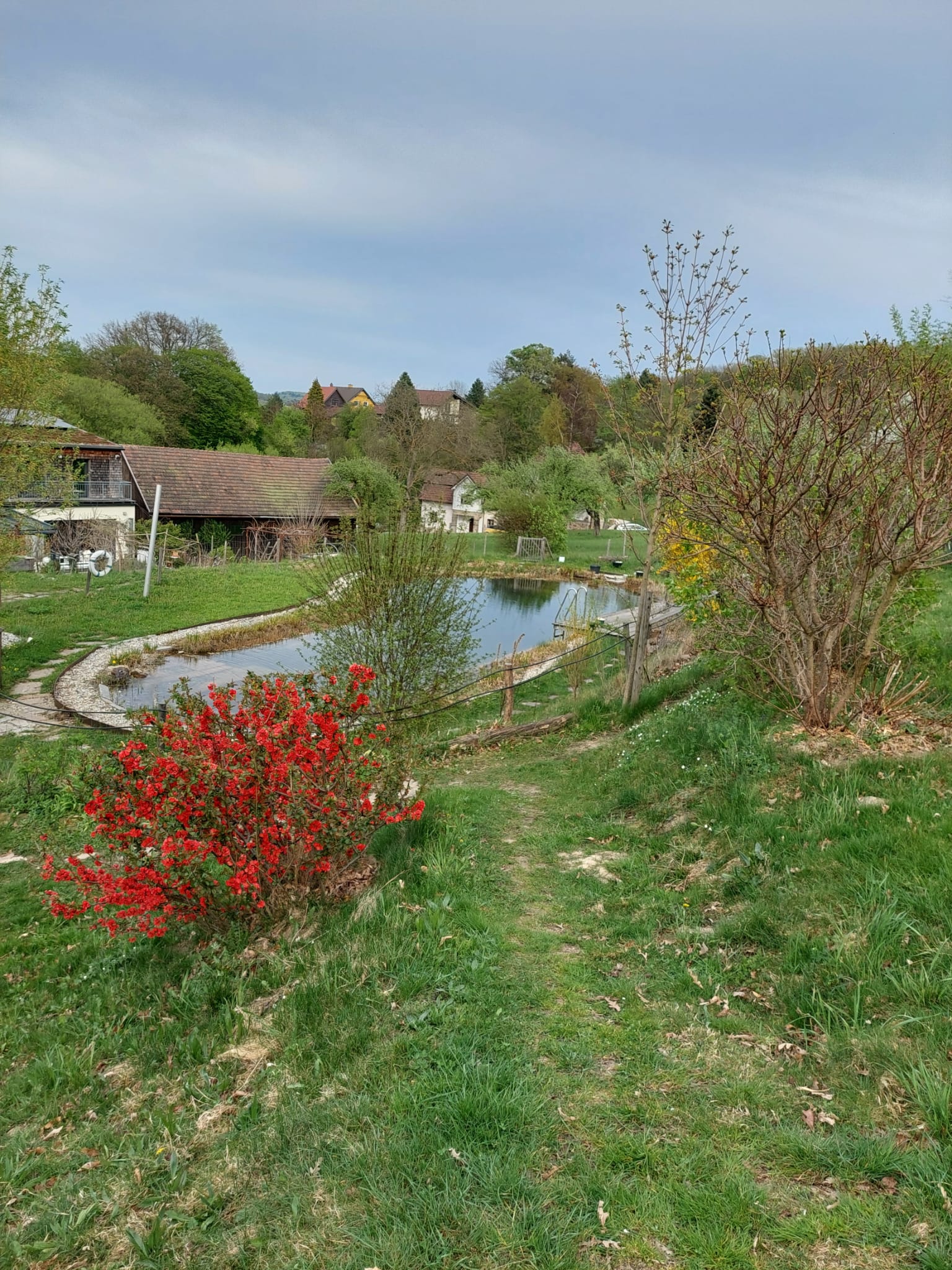Garten 1 – Gemeinschaftsgarten